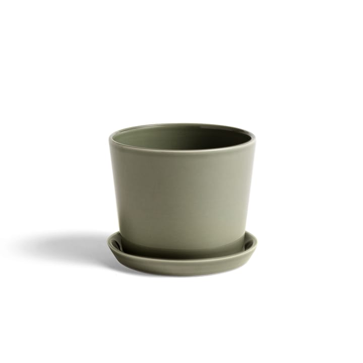 Botanical Family kruka - dusty green, medium, med fat Ø13.5 cm - HAY