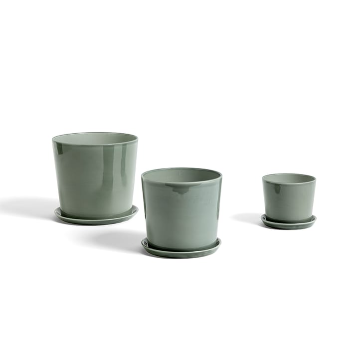 Botanical Family kruka, dusty green, medium, med fat Ø13.5 cm HAY
