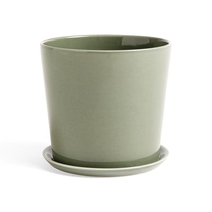 Botanical Family kruka - dusty green, xl, med fat Ø22 cm - HAY