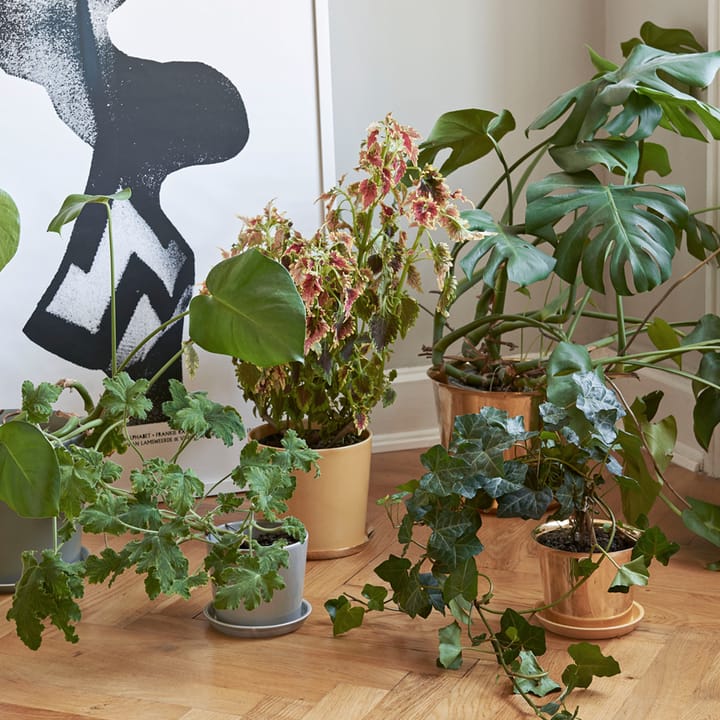 Botanical Family kruka, offwhite, large, med fat Ø18 cm HAY