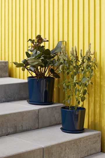 Botanical Family kruka XL Ø22 cm - Dark blue - HAY