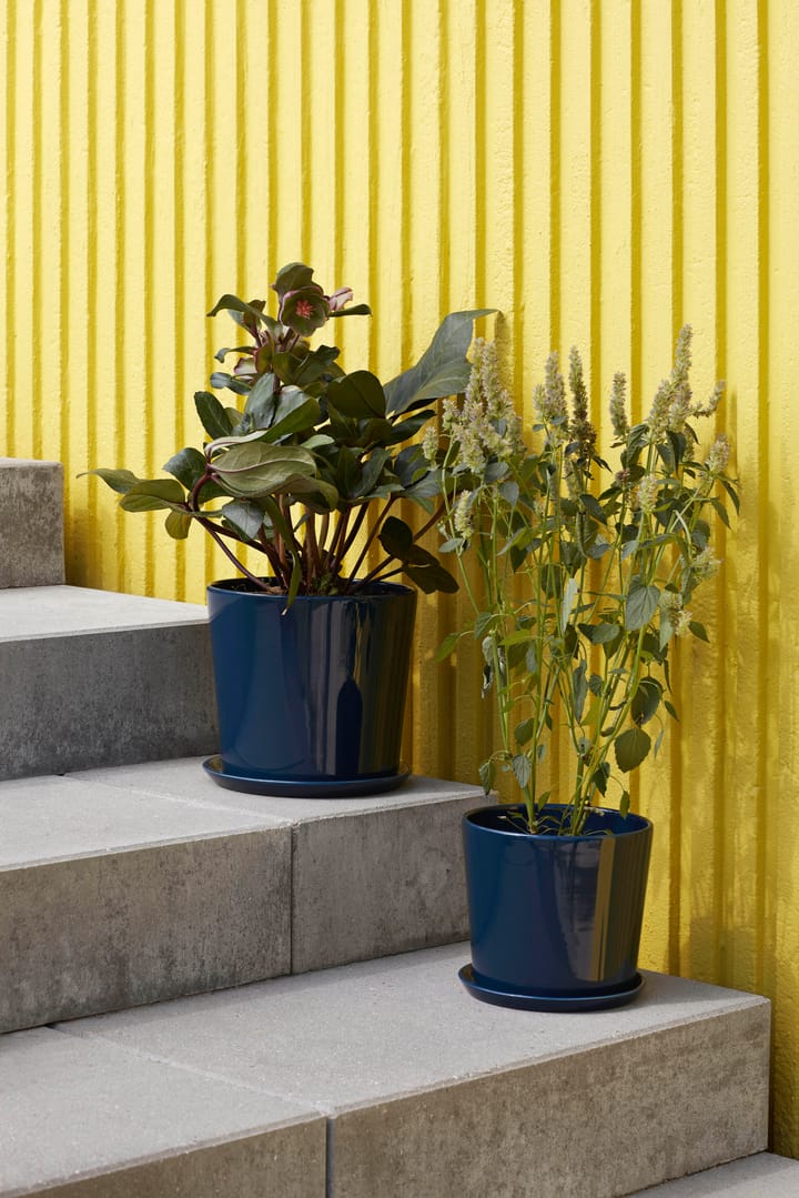 Botanical Family kruka XL Ø22 cm, Dark blue HAY
