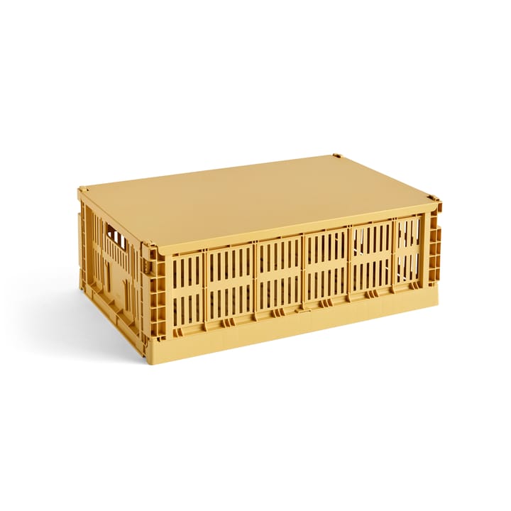 Colour Crate lock large - Golden yellow - HAY