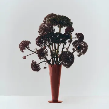 Conical vas - Rose-dark red, medium - HAY