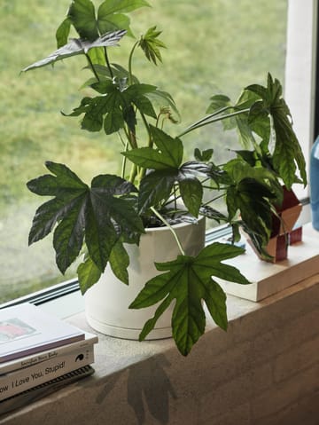 HAY Plant Pot with saucer kruka L Ø19 cm - Vit - HAY