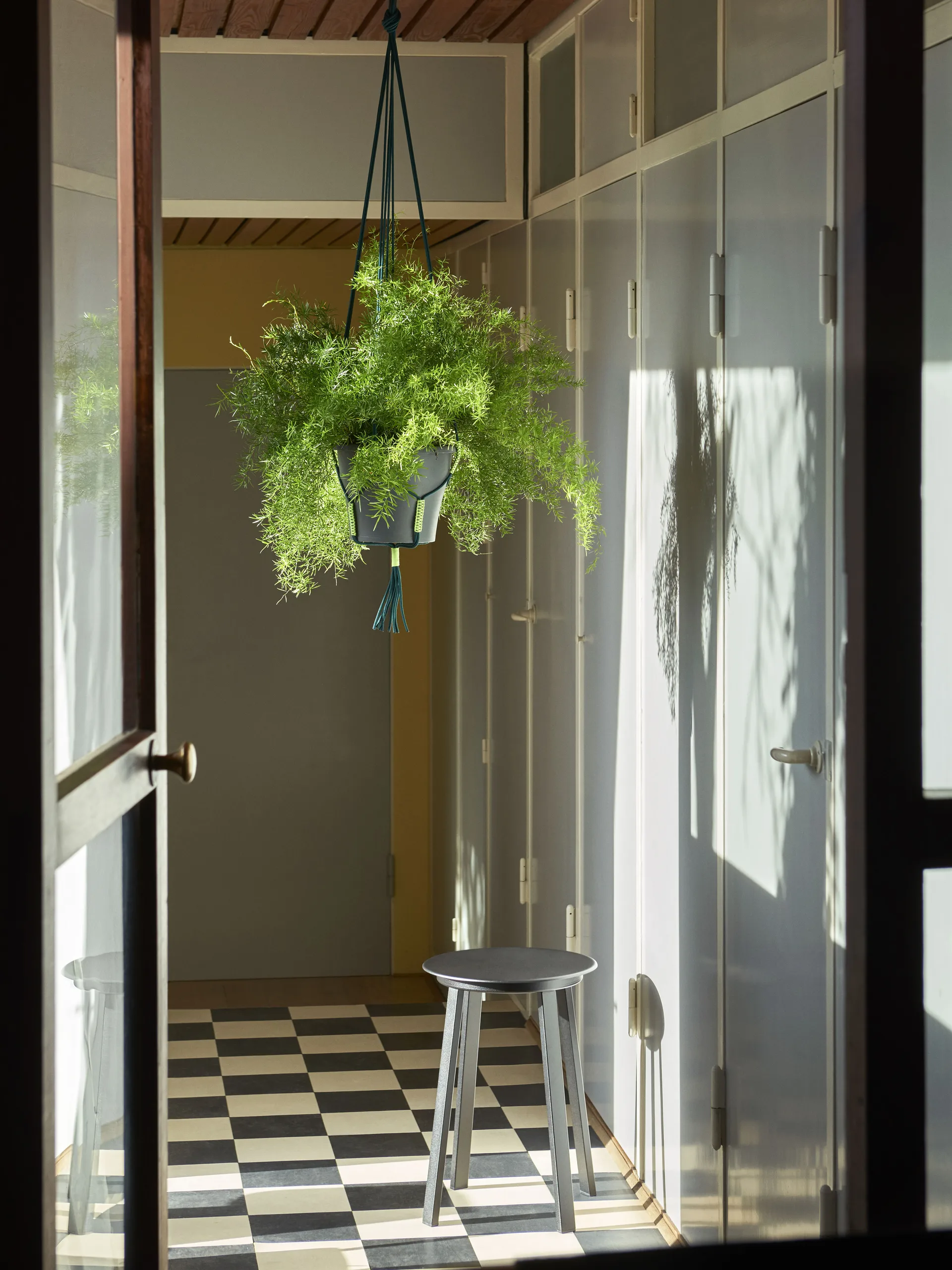 Phanta plant hanger ampel, Grön HAY