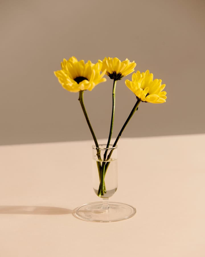 Tiny vas 7 cm, Clear HAY