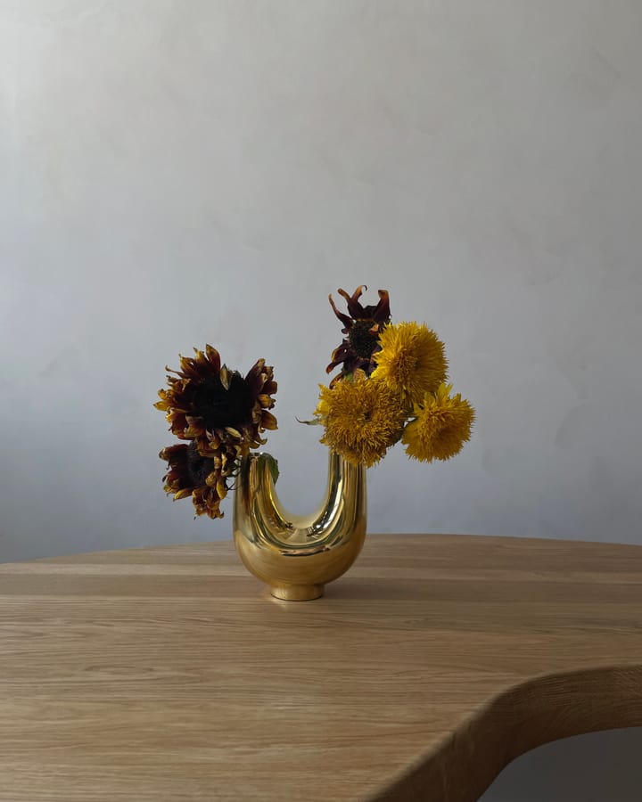 Kazumi vas, Mässing Hein Studio