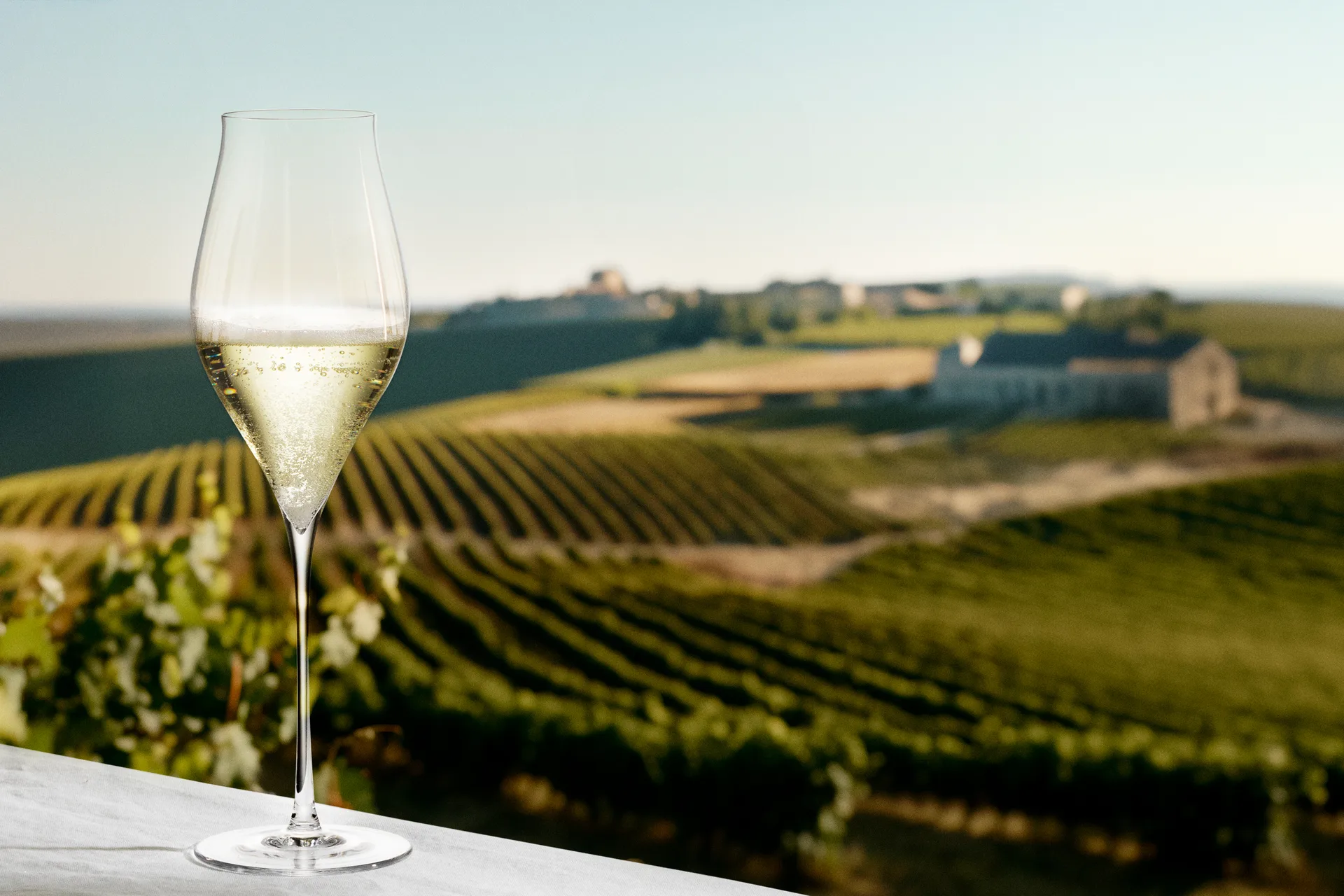 Notes champagneglas 2-pack, 38 cl Holmegaard