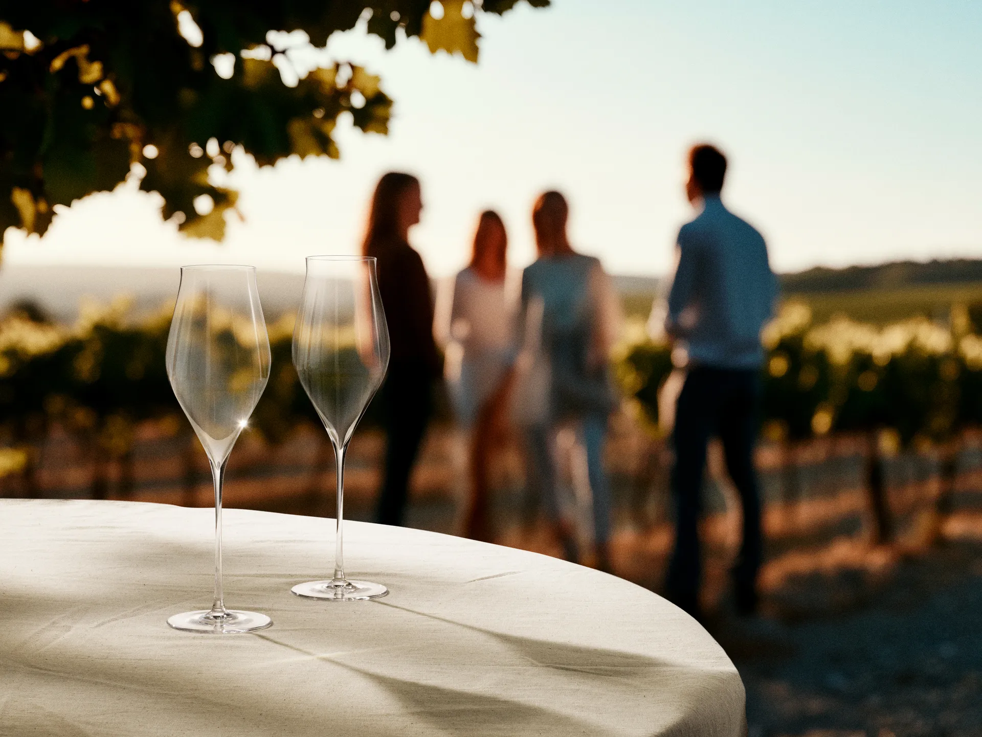 Notes champagneglas 2-pack, 38 cl Holmegaard