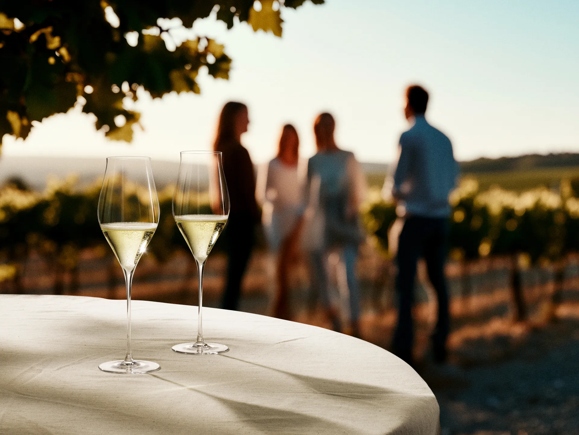 Notes champagneglas 2-pack, 38 cl Holmegaard