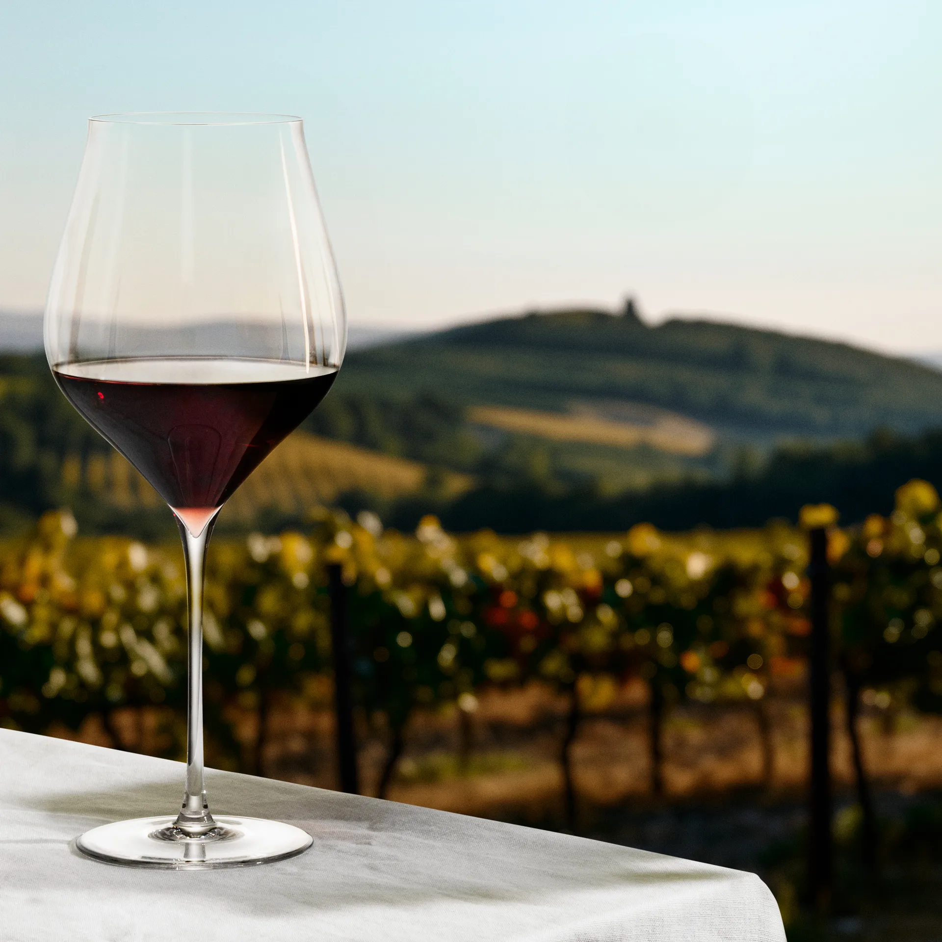 Notes rödvinsglas 2-pack, 81 cl Holmegaard