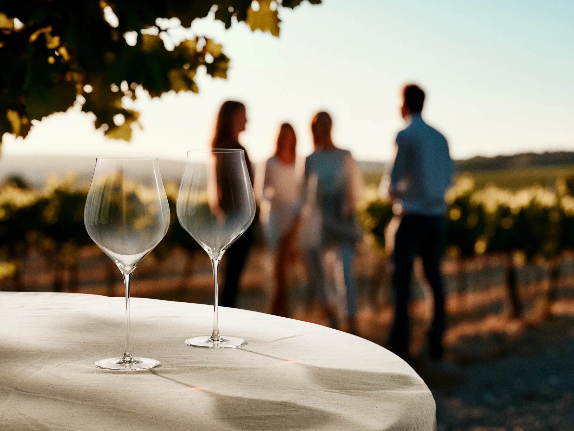 Notes rödvinsglas 2-pack, 81 cl Holmegaard