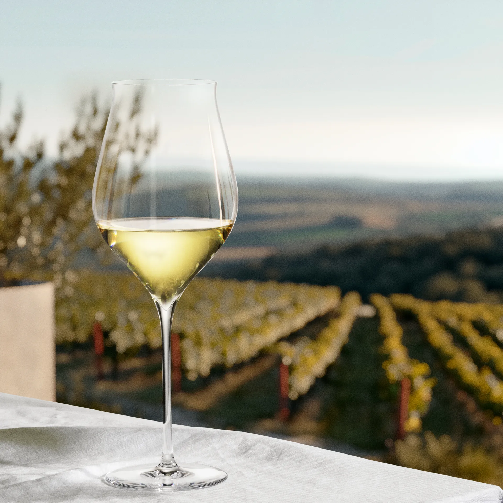 Notes vitvinsglas 2-pack, 63 cl Holmegaard