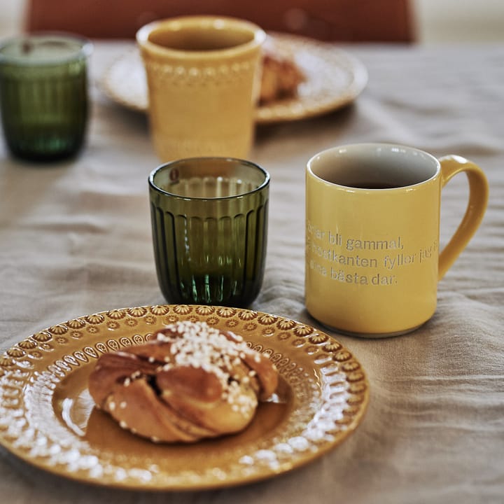 Raami dricksglas 26 cl 2-pack, Mossgrön Iittala