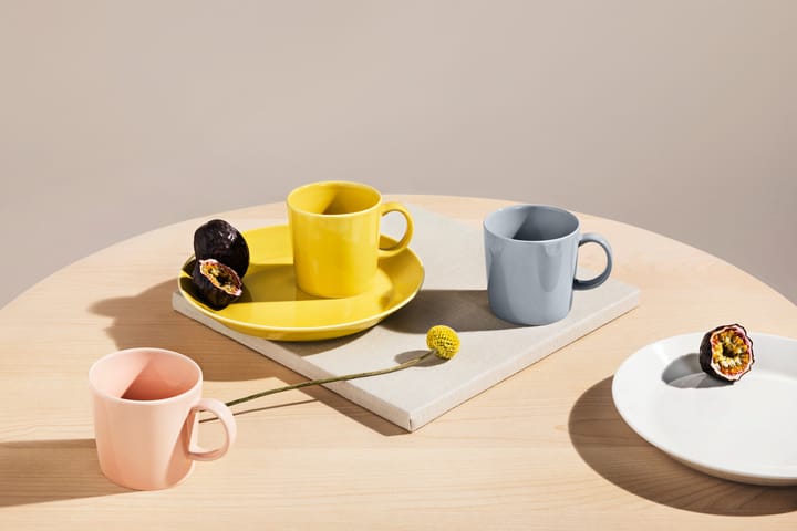 Teema mugg 30 cl, pärlgrå Iittala