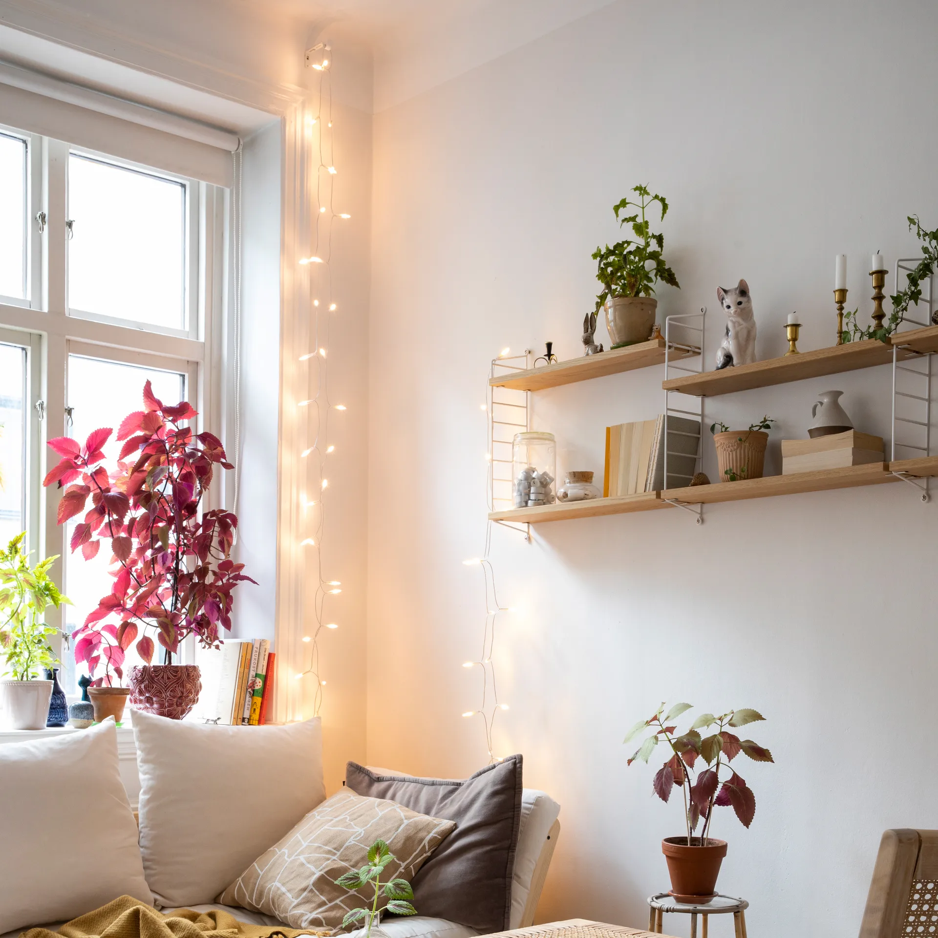 Irislights extra ljusslinga, 35 bollar Irislights