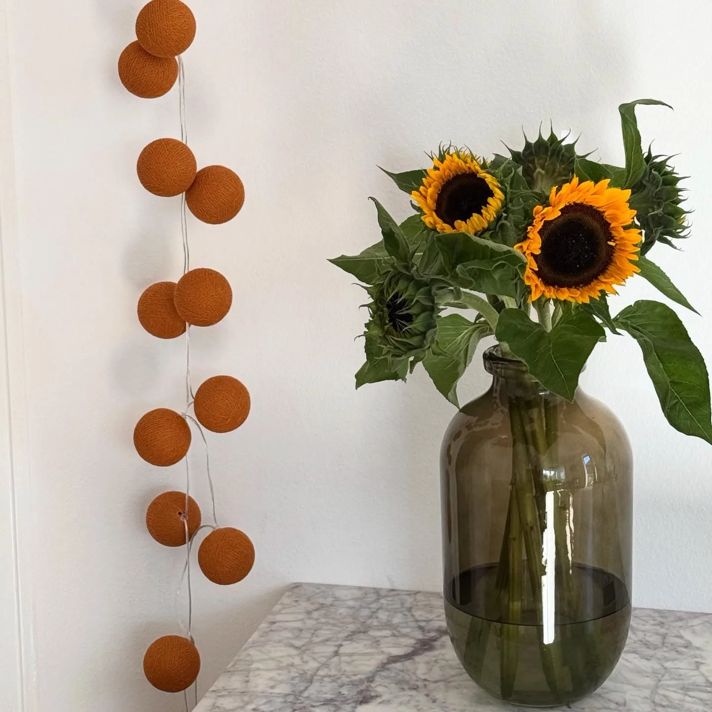 Irislights ljusslinga, Terracotta, 20 bollar Irislights