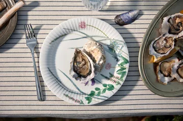 Hammershøi Summer Tallrik Ø22 cm - Coastal flower - Kähler