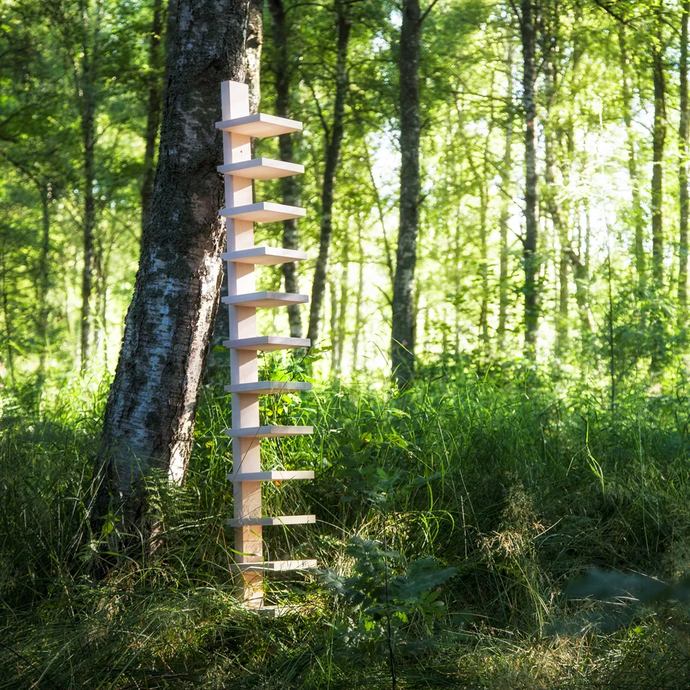 Pilaster vägghylla, Naturlackad björk Källemo