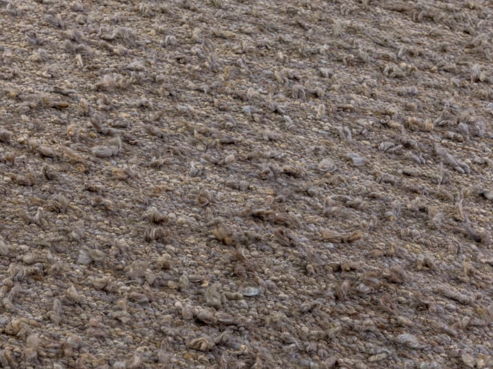 Woolly matta, Light brown 170x240 cm Kateha