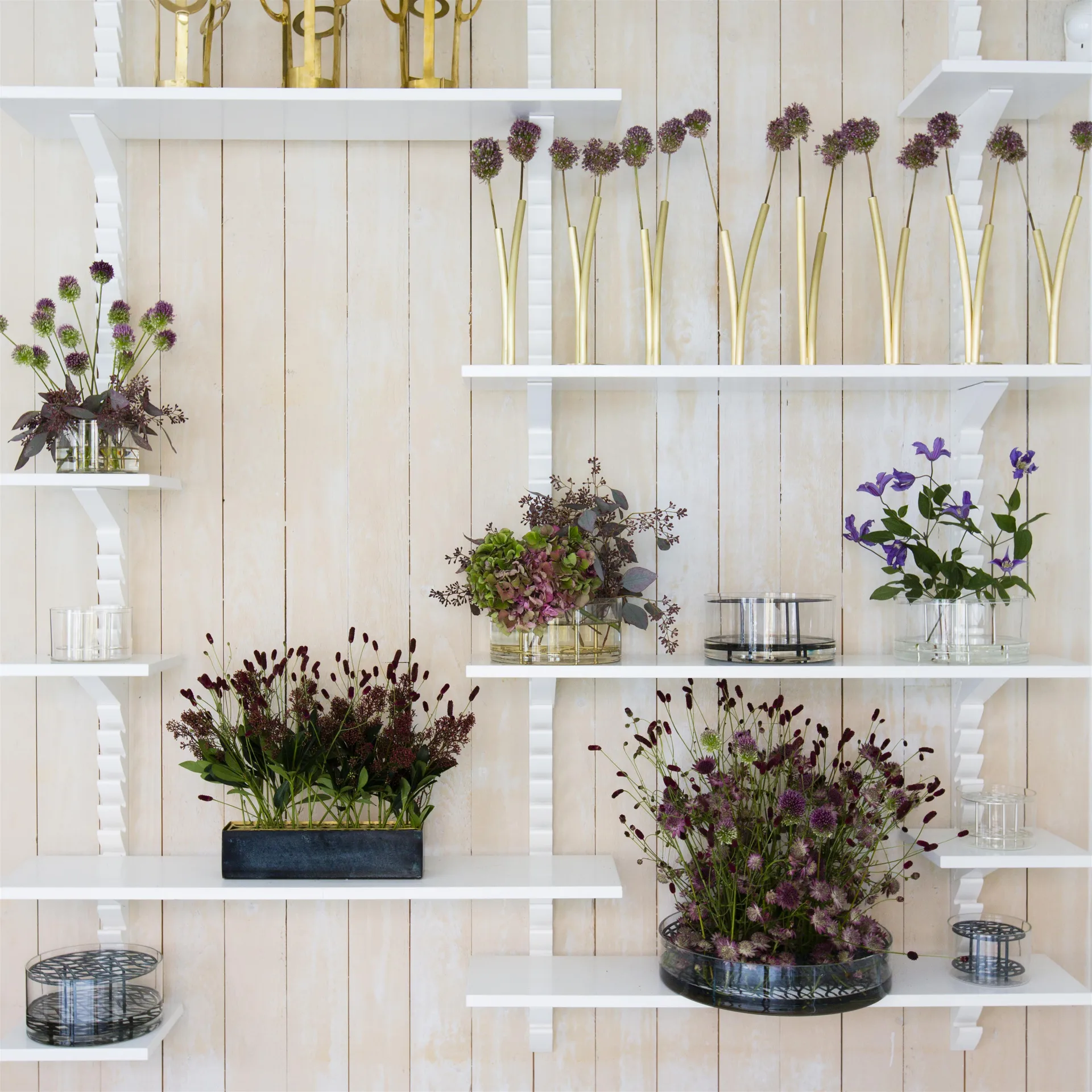 Äng vas, liten, blå KLONG