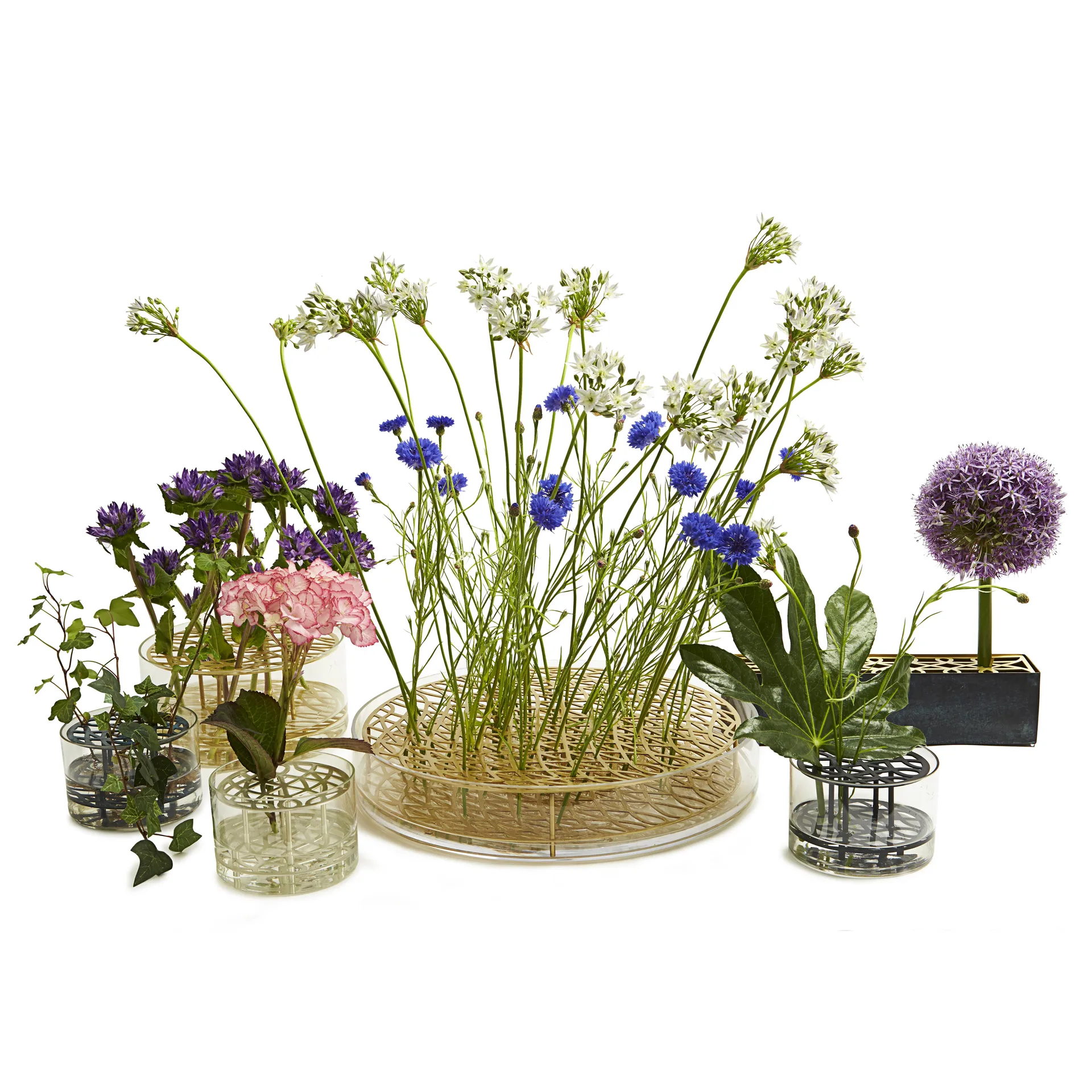 Äng vas, mega, mässing KLONG