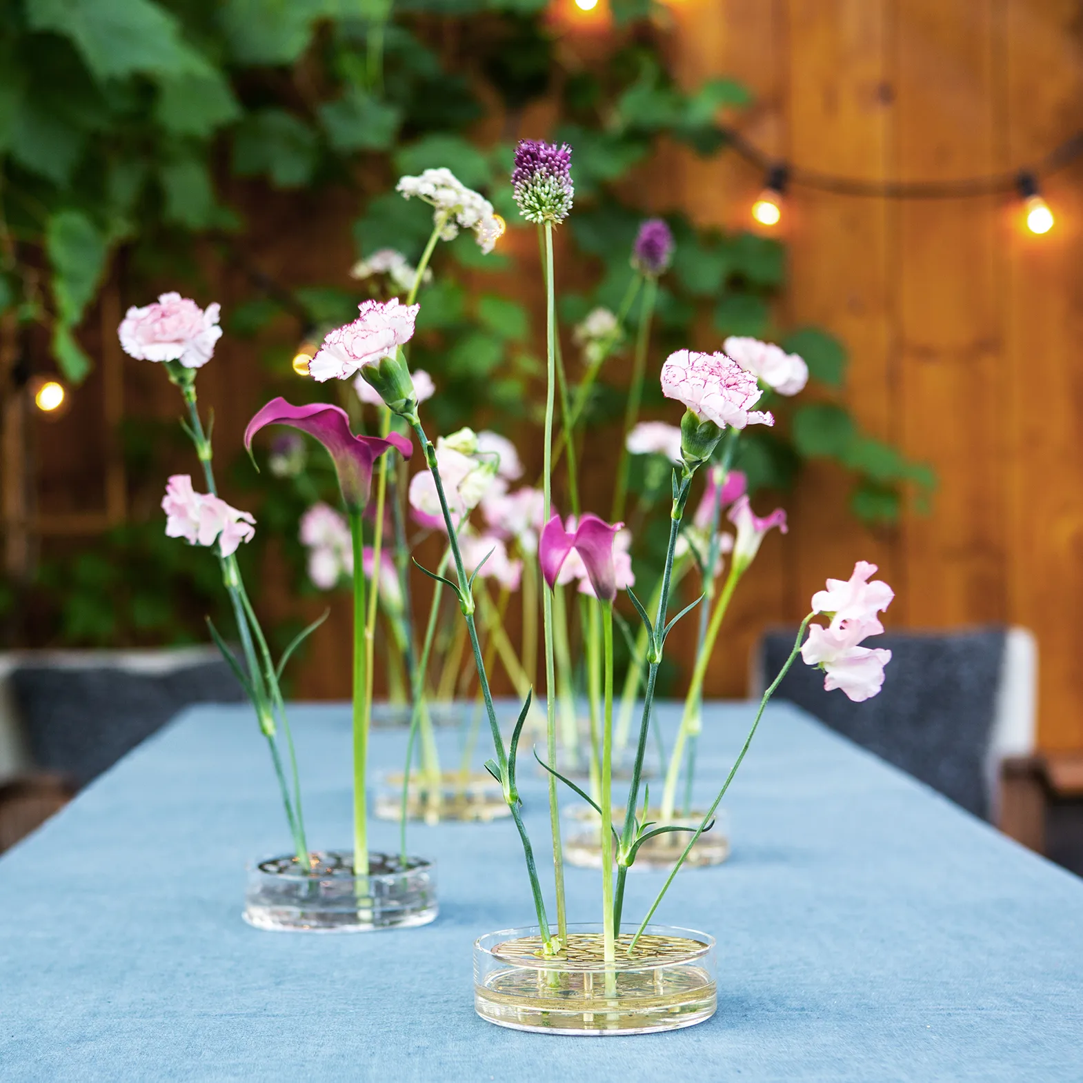 Äng vas, pond, Mässing KLONG