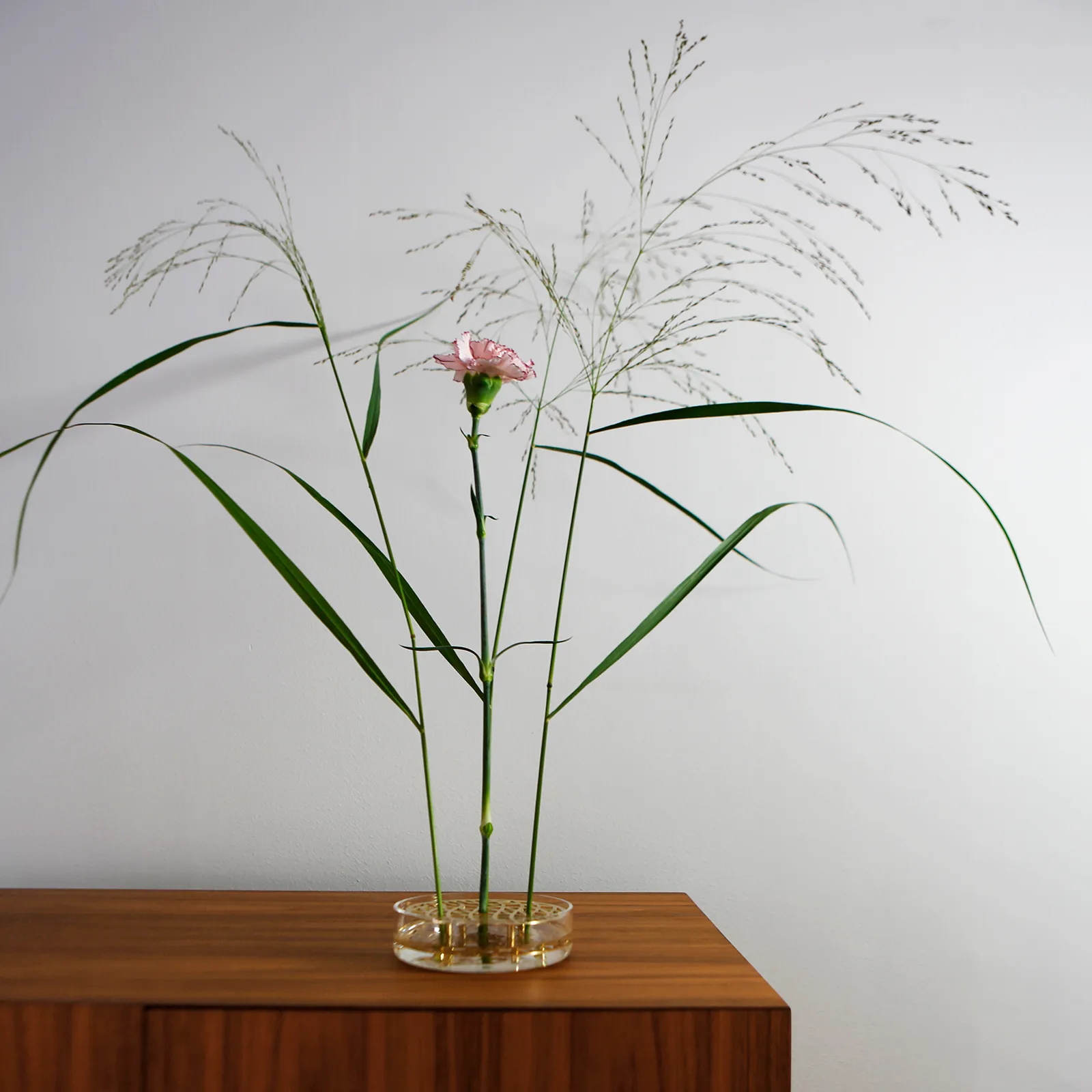 Äng vas, pond, Mässing KLONG