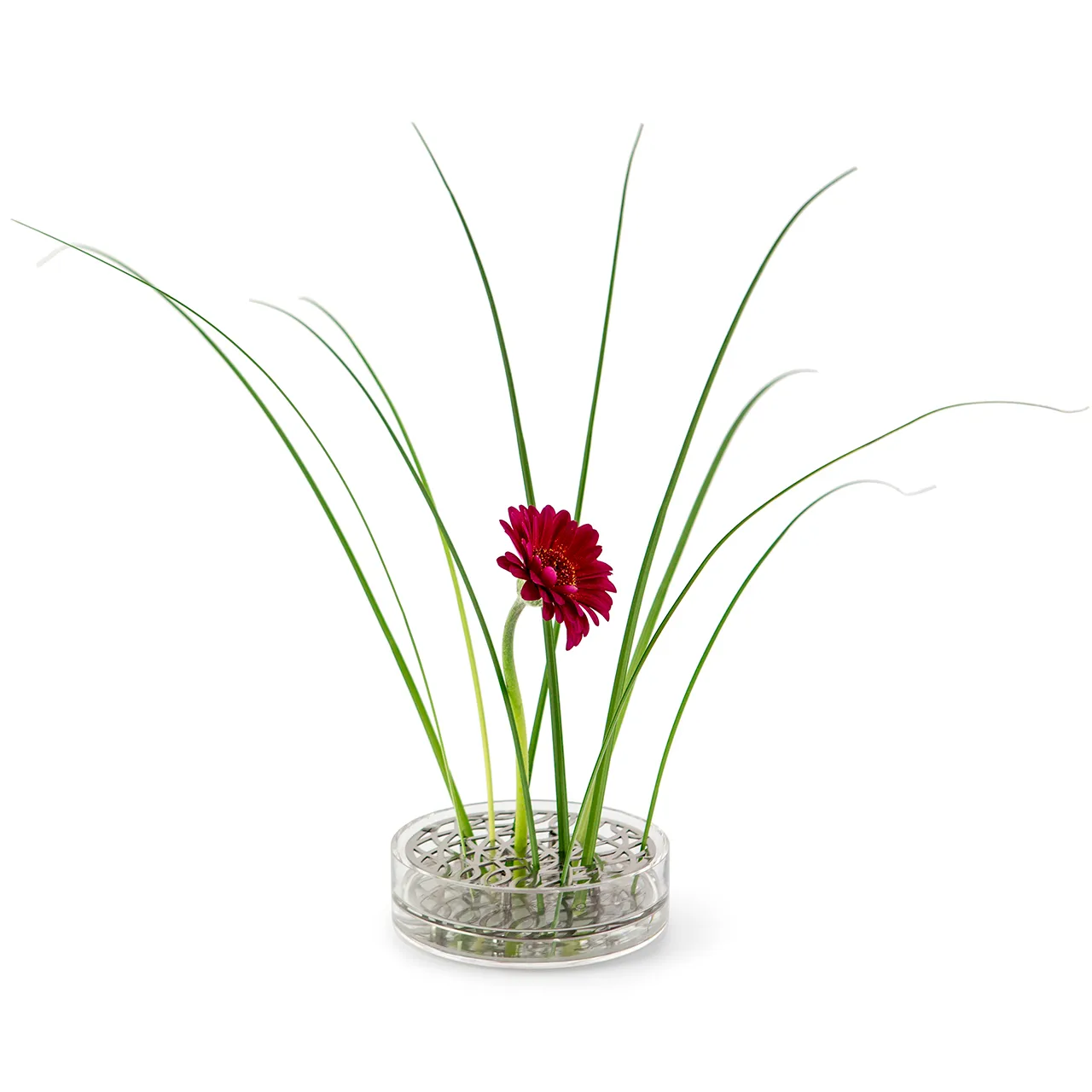 Äng vas, pond, Rostfritt stål KLONG