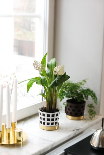 Brass leaves dekoration 2-pack - Water - KLONG