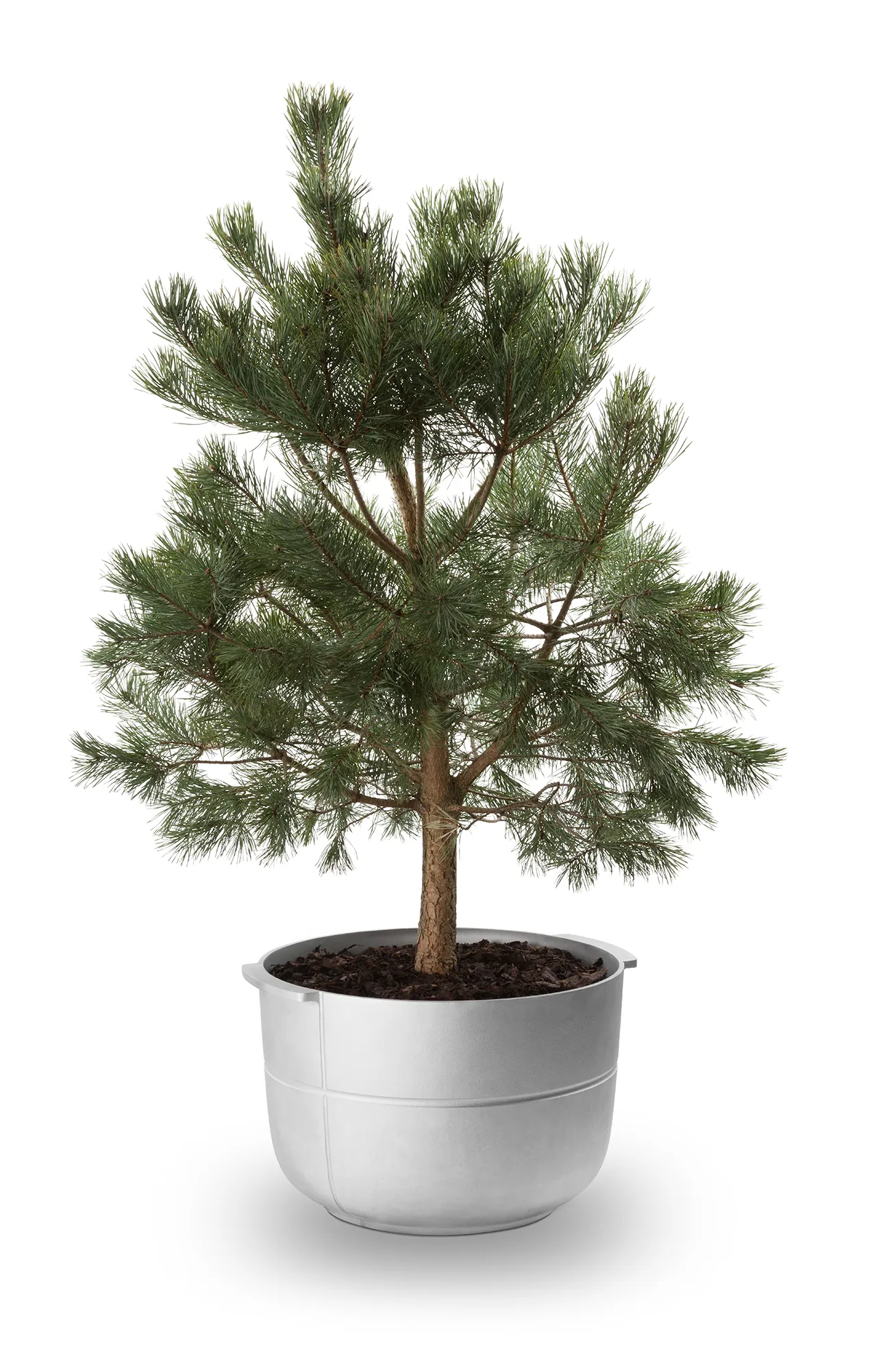 Linea kruka nr 2 medium, Aluminium KORBO