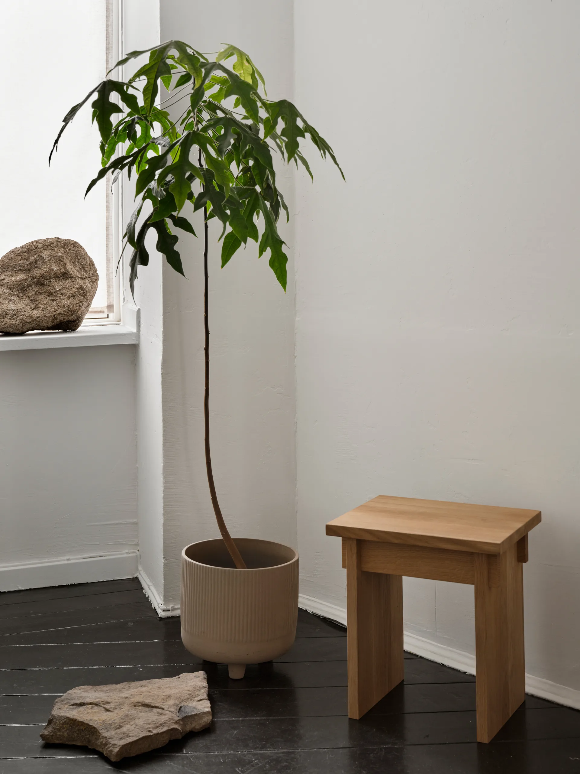 Artisan pall 30x40 cm, Varm lackerad ek Kristina Dam Studio