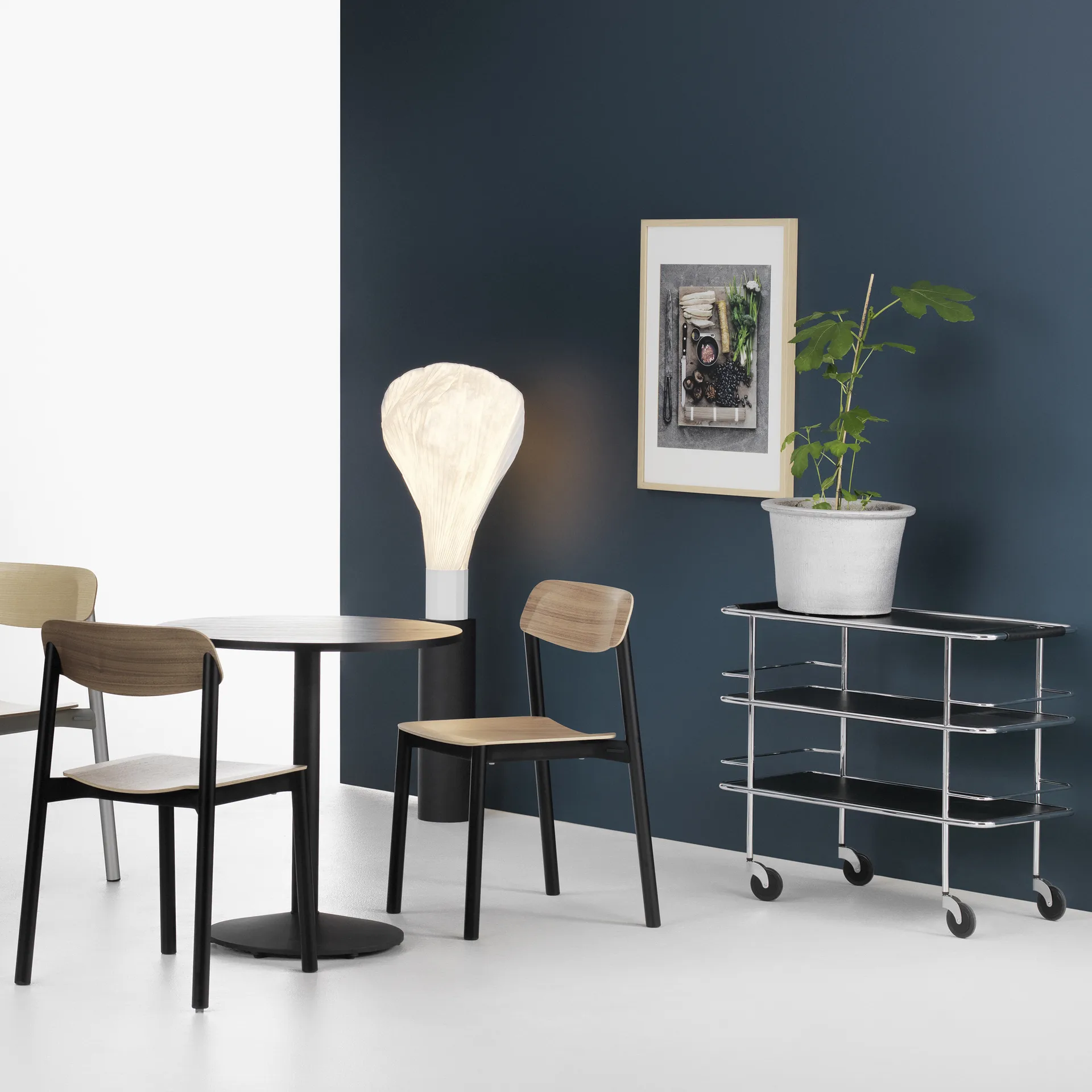 Penne stol, ek, svarta aluminiumben Lammhults