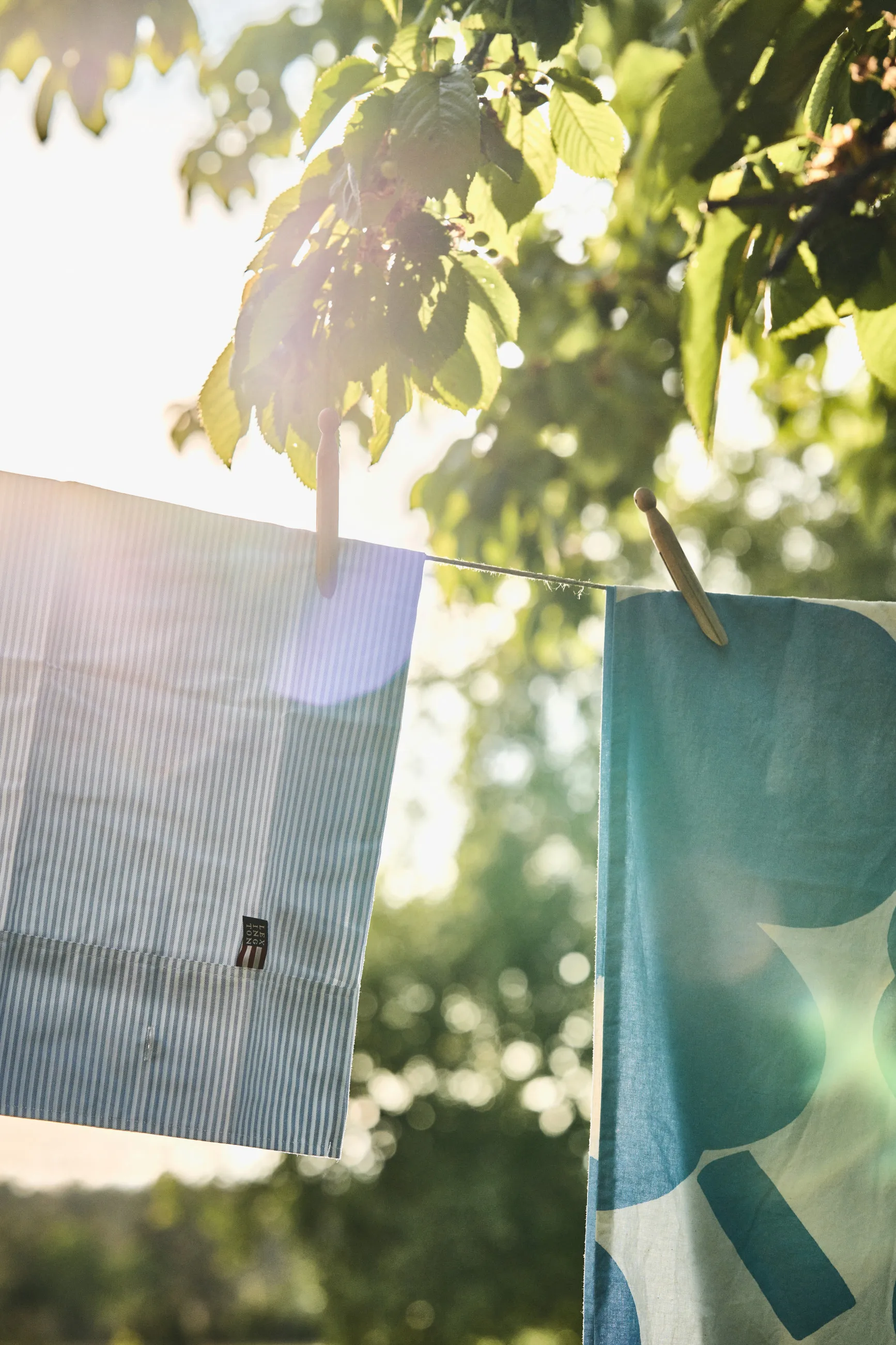 Icons Pin Point örngott 50x60 cm, Blue-white Lexington