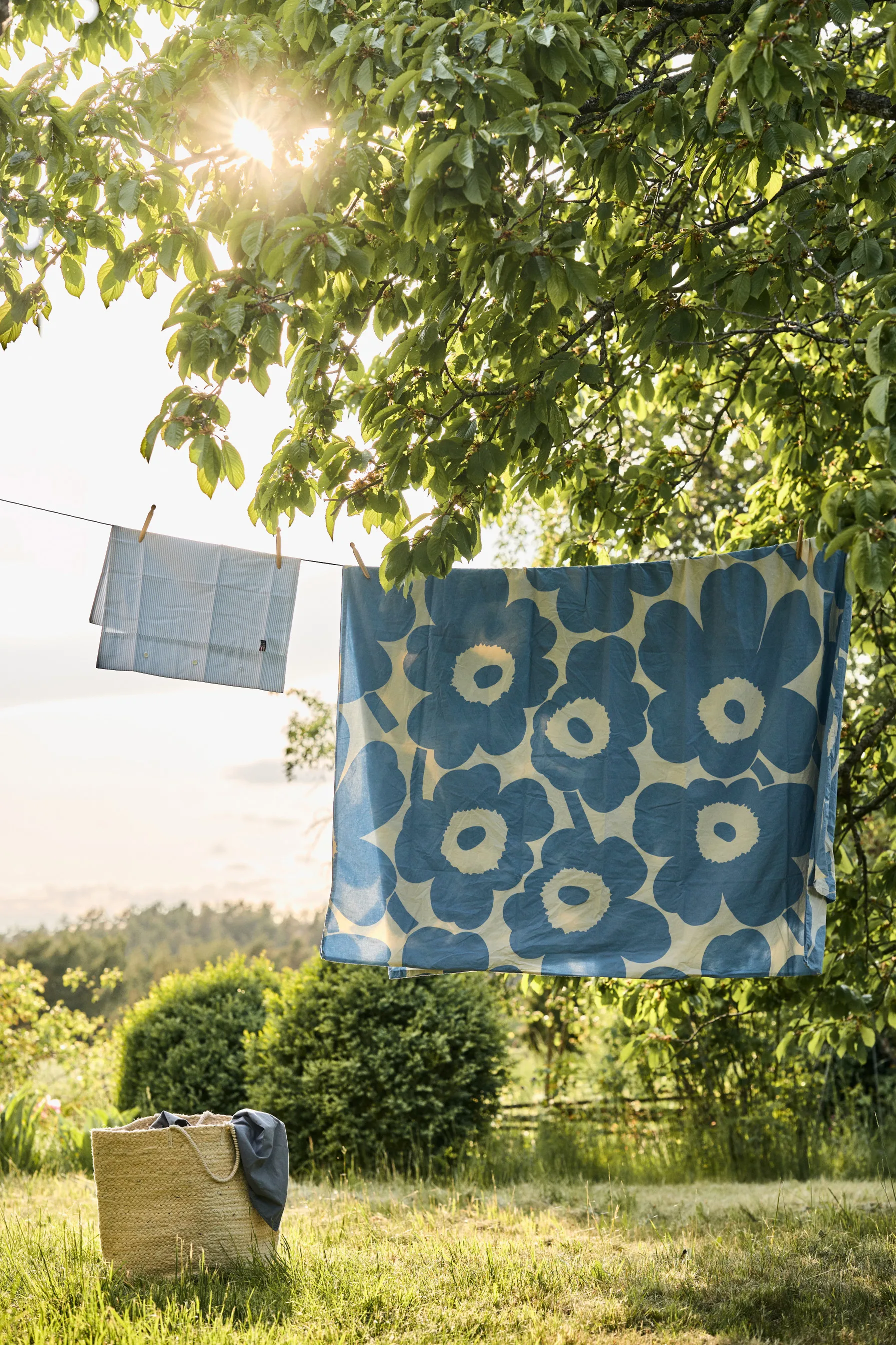 Icons Pin Point örngott 50x60 cm, Blue-white Lexington