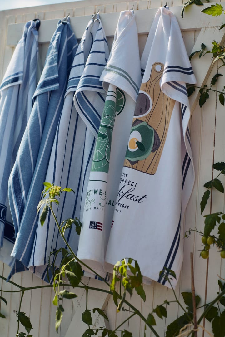 Striped Cotton Terry kökshandduk 50x70 cm, White-blue Lexington