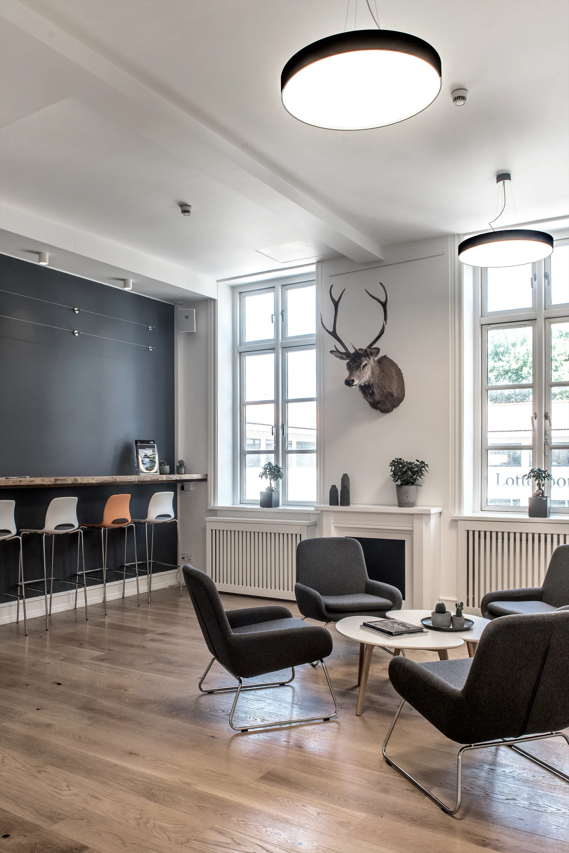 Solo Round 2 spotlight, White Light-Point