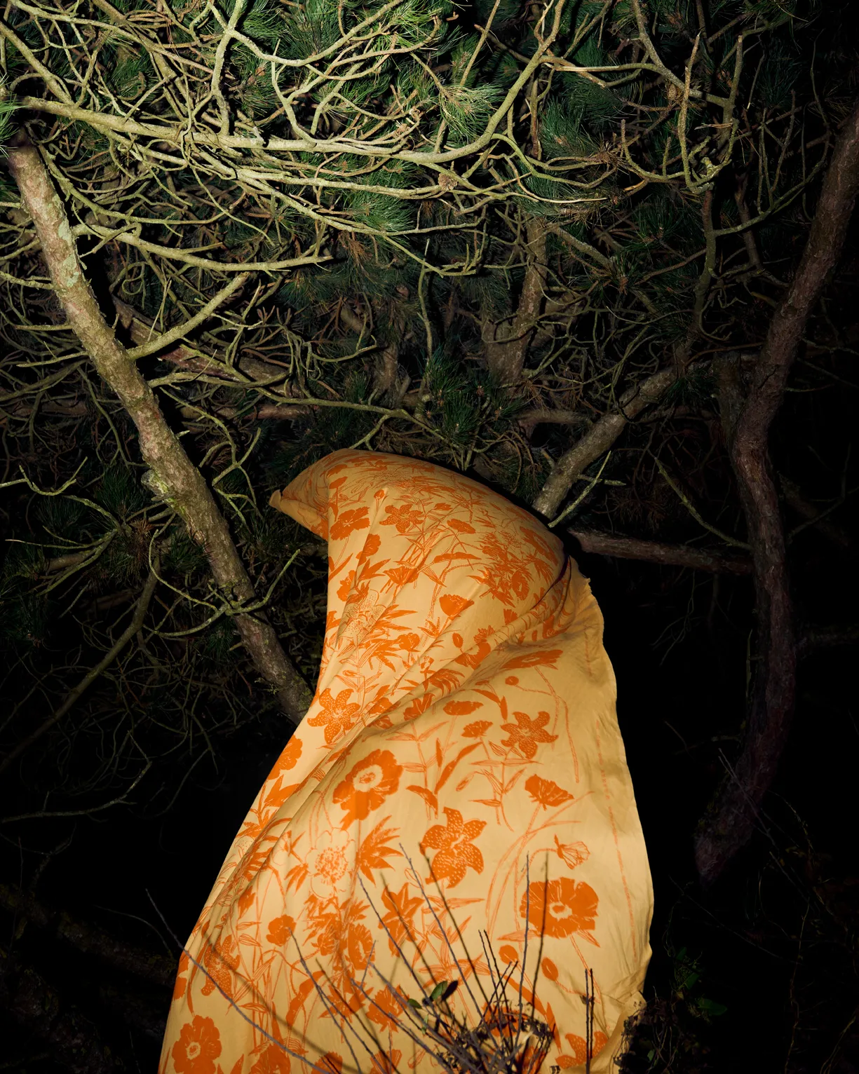 Perenna bomullstyg, Caramel-burnt orange Marimekko