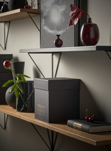 Pythagoras Shelf hyllplan - svart - Maze