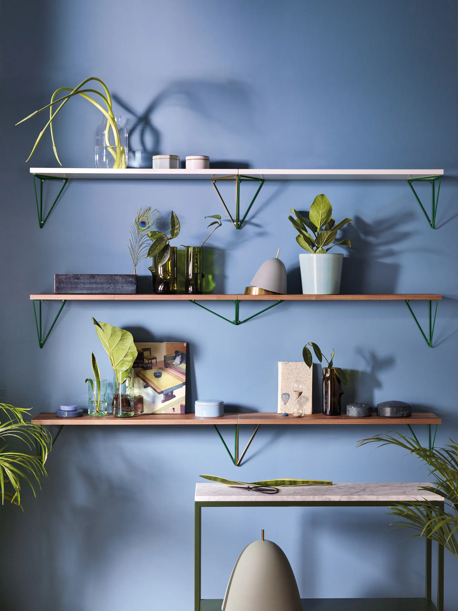 Pythagoras Shelf hyllplan, valnöt Maze