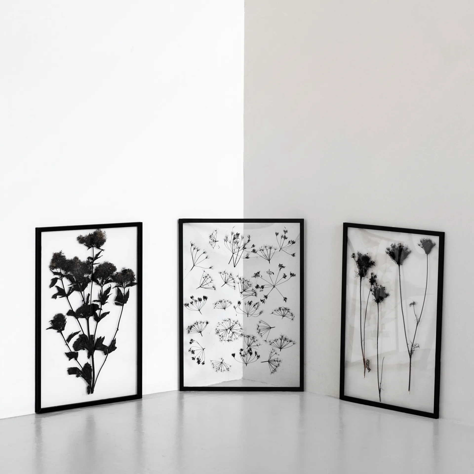 Moebe Frame A2, Svart MOEBE