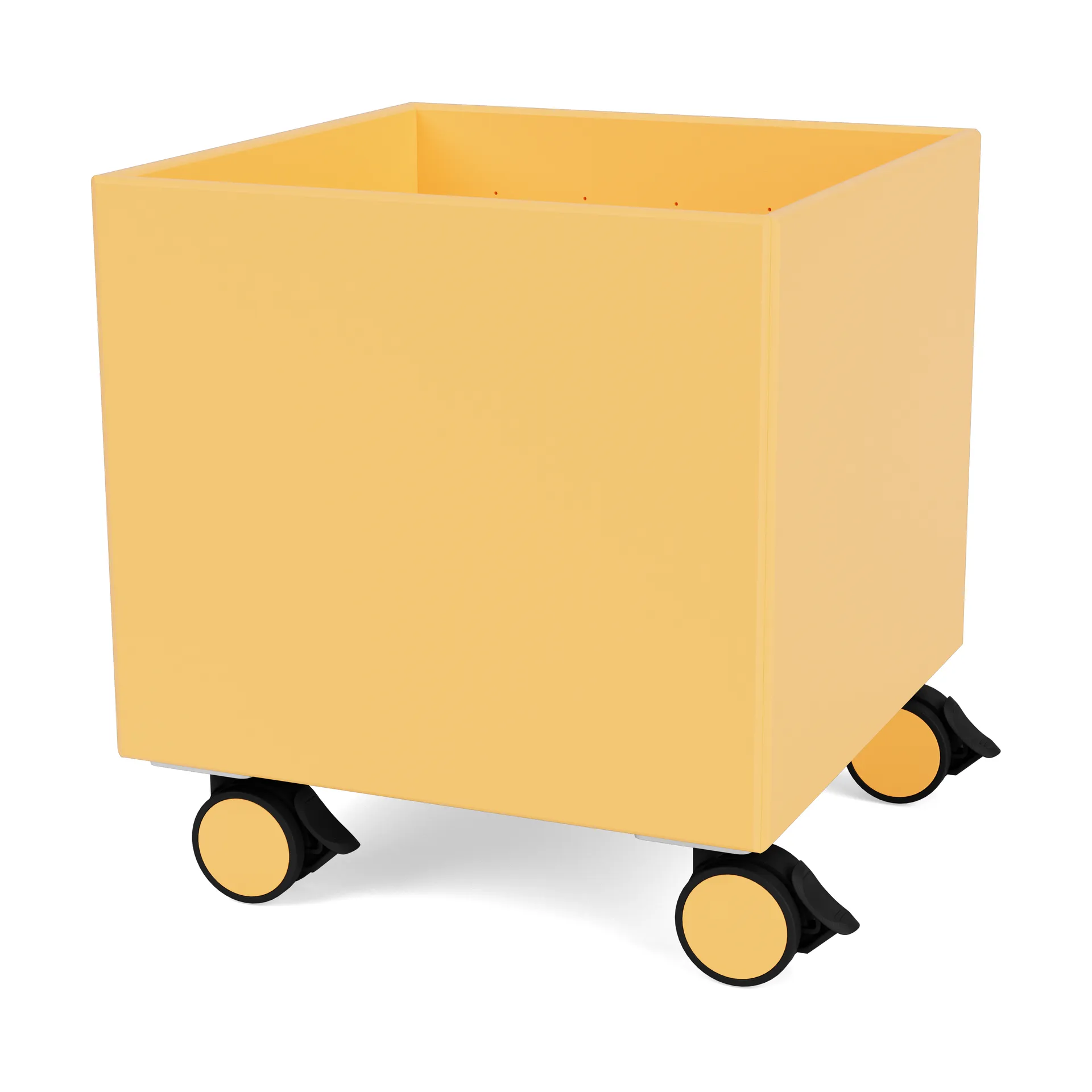 Colour Box I – S6161, Acacia Montana