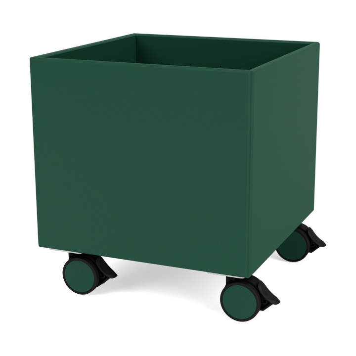 Colour Box I – S6161 - Pine - Montana