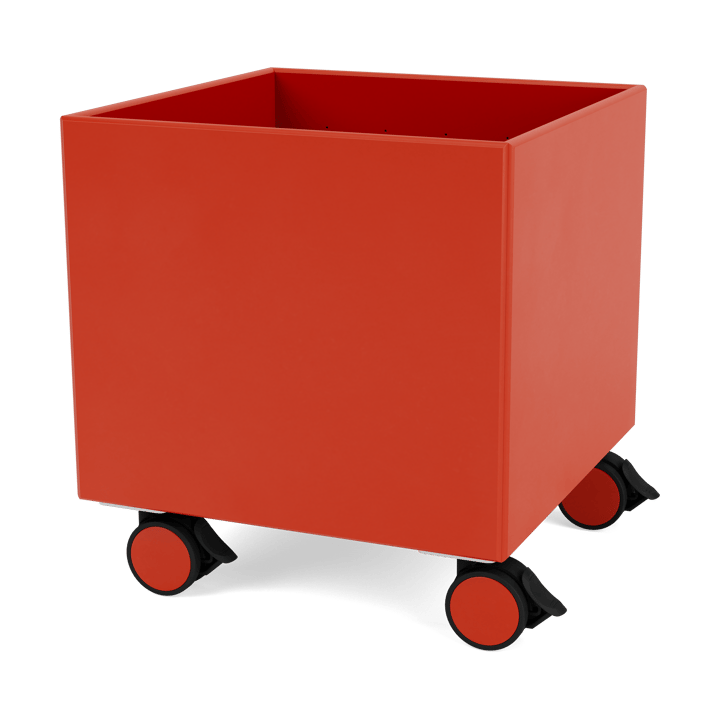 Colour Box I – S6161 - Rosehip - Montana