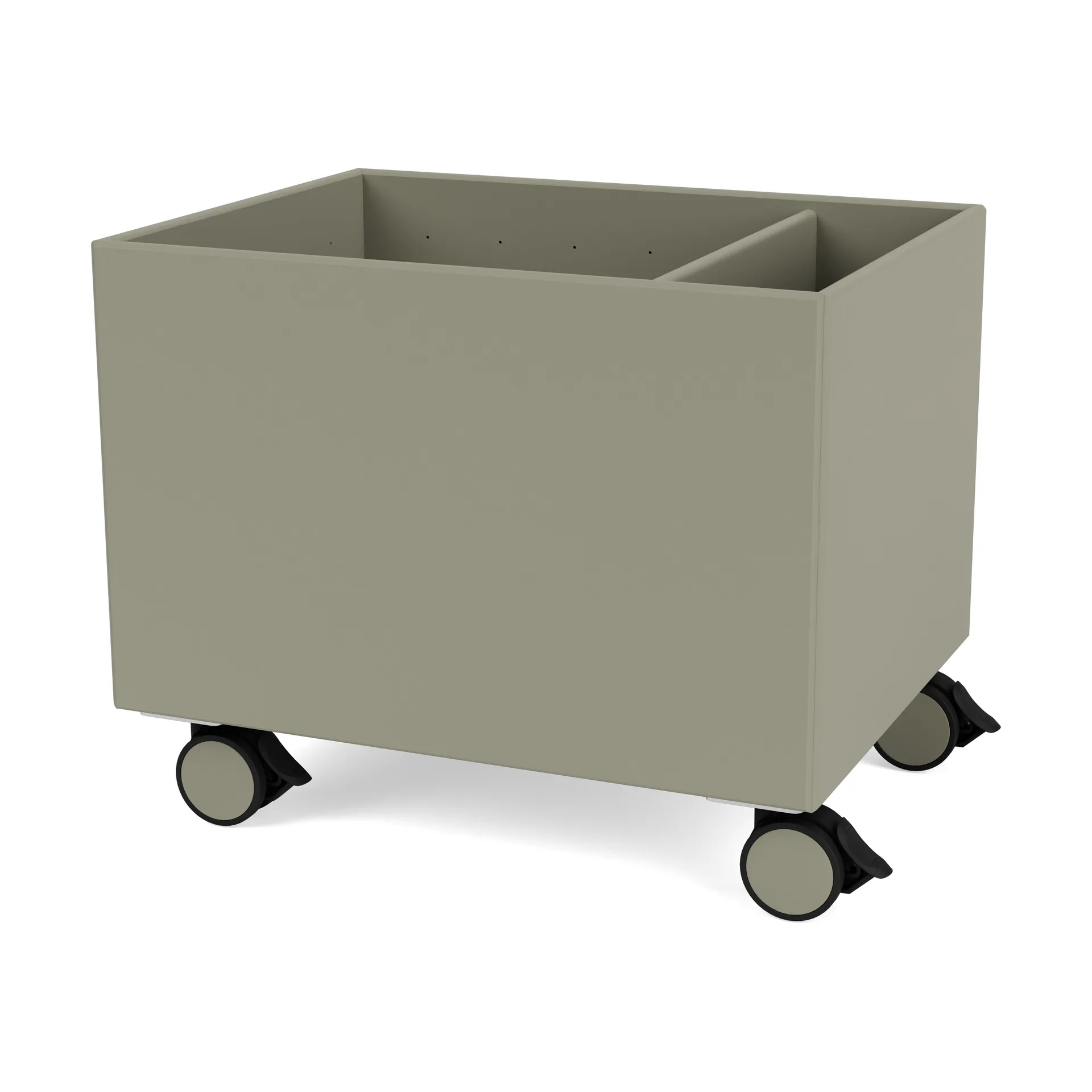 Colour Box II, Fennel Montana