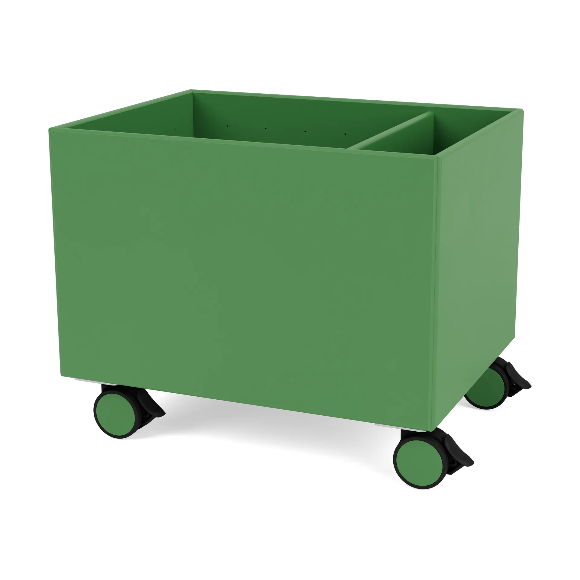 Colour Box II, Parsley Montana