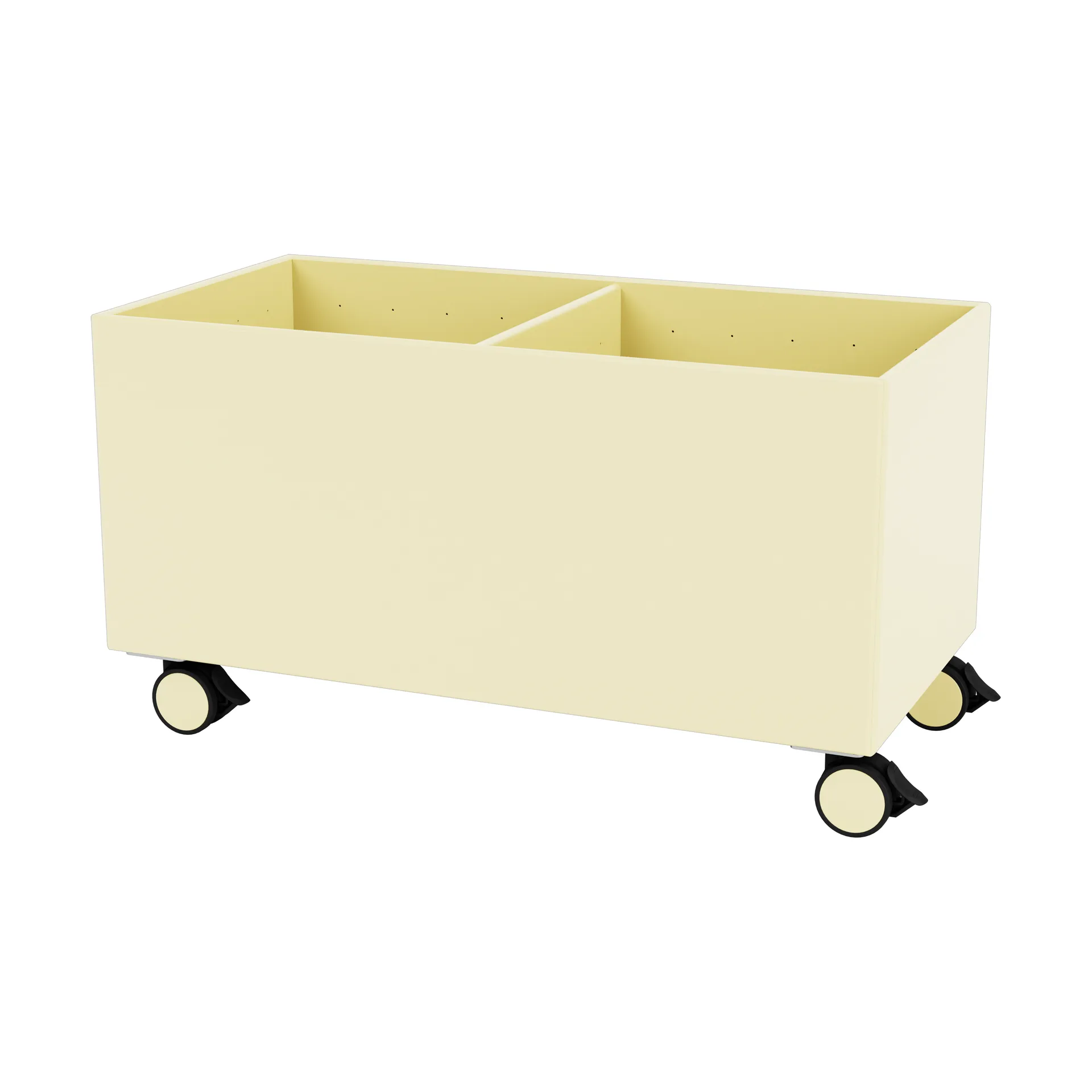 Colour Box III, Camomile Montana