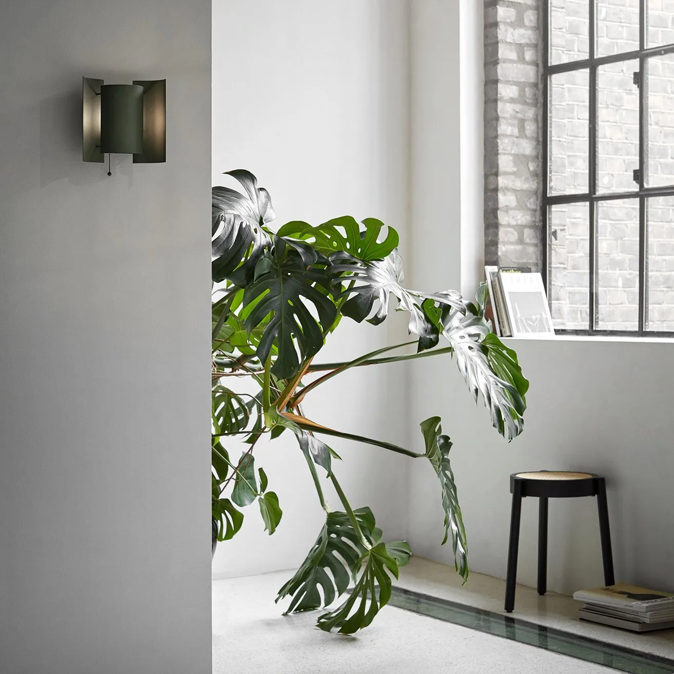 Butterfly vägglampa, Mörkgrön Northern