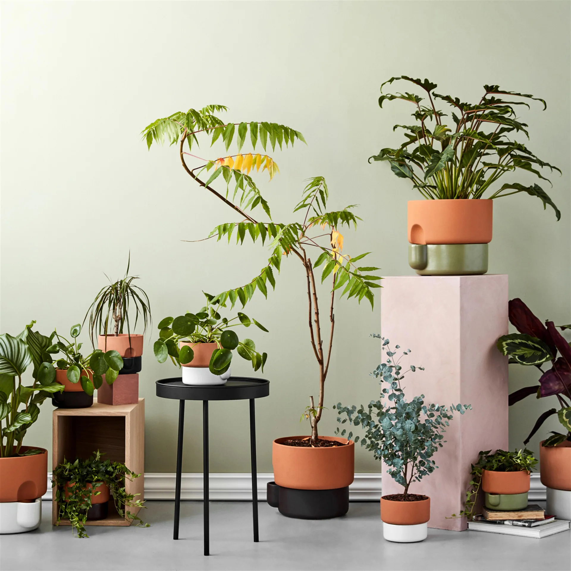 Oasis självvattnande kruka stor Ø27.5 cm, Terracotta-Svart Northern